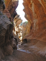 Willis Canyon